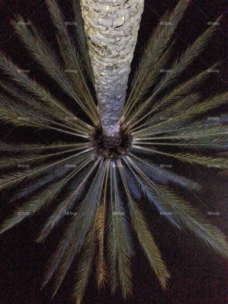 The Bottom Reverse View 

Published by:
HappyBrownMonkey 