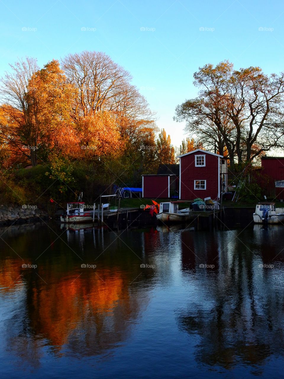 Autumn in the harbour