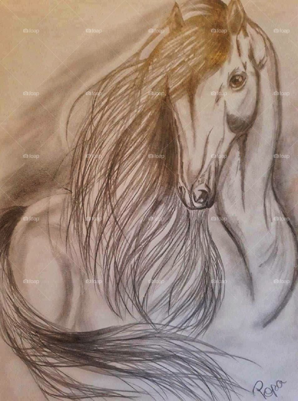 Powerful horse on paper