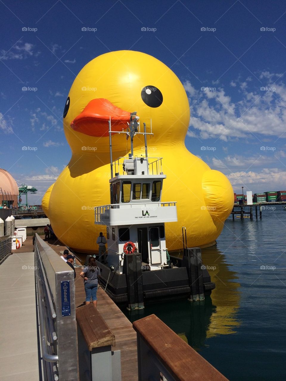 The World's Largest Rubber Duck
