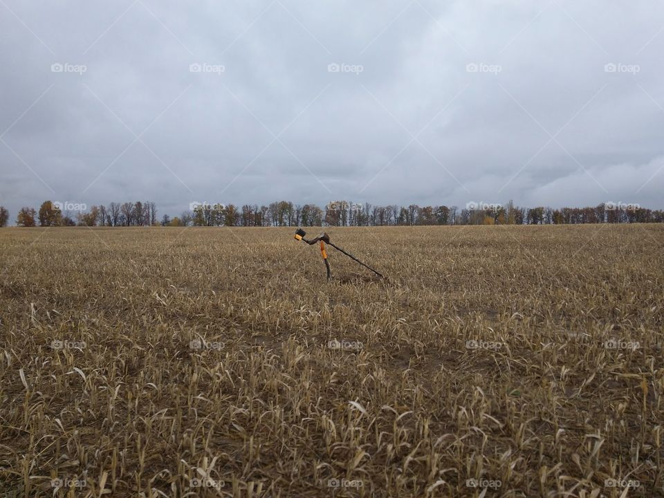 My hobby. Metaldetecting, treasure hunting