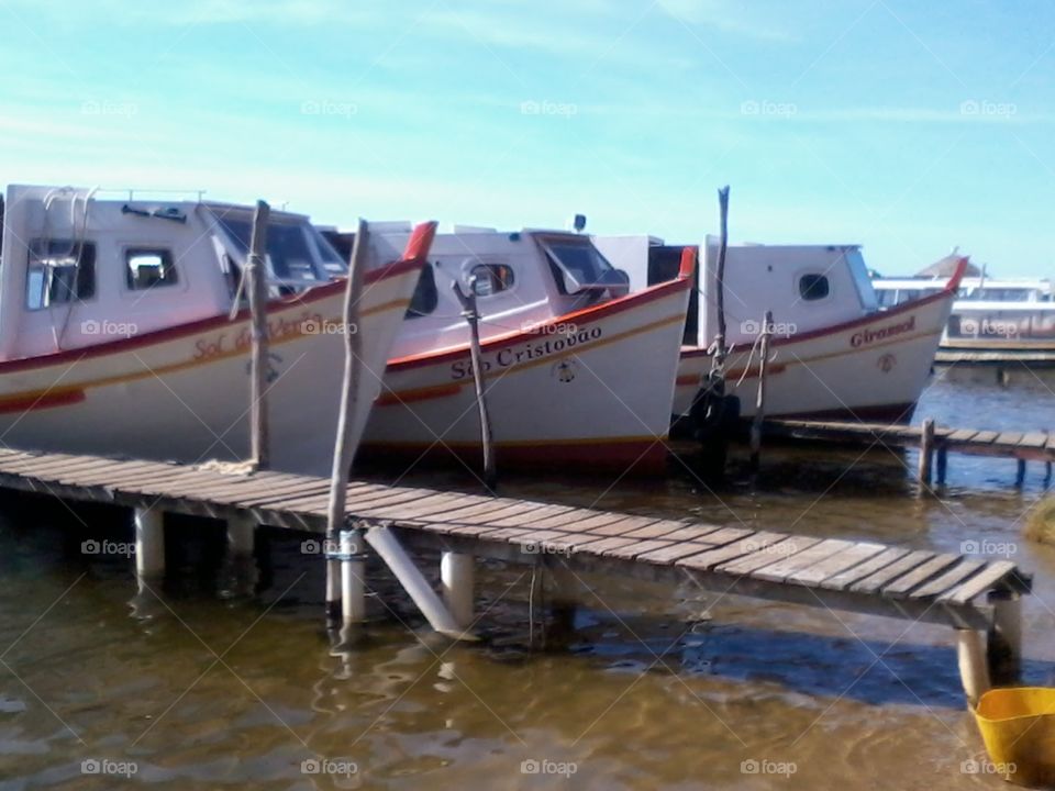 white boats