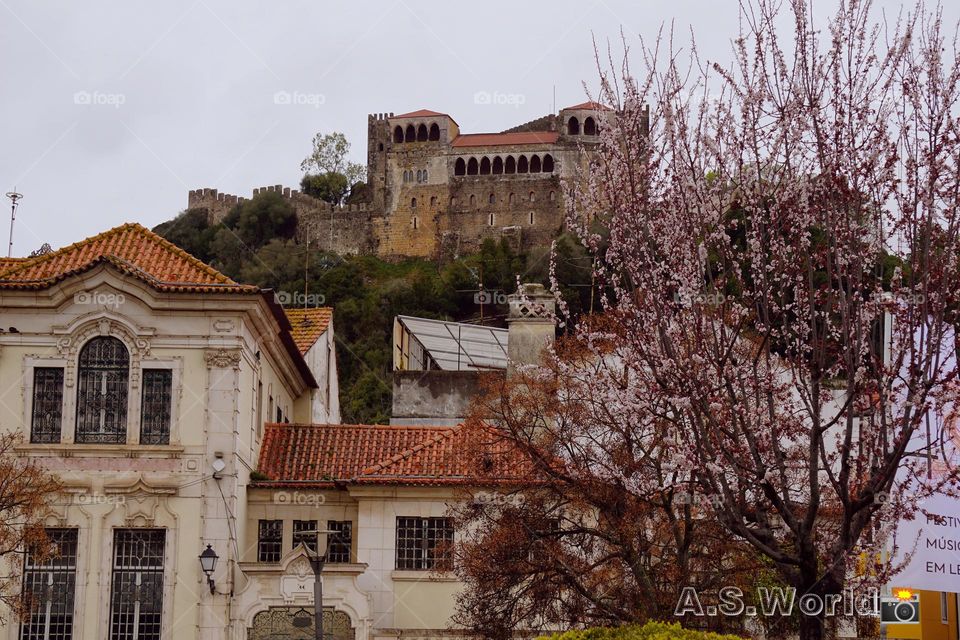 Magnificent castle of Leiria Portugal