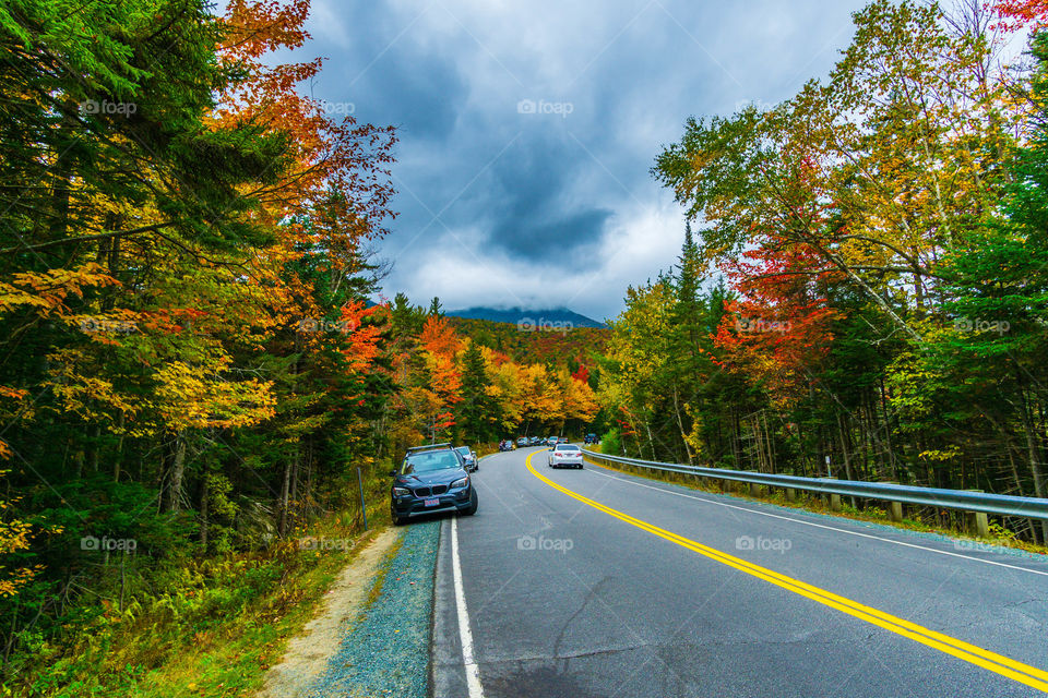 And at all once, summer collapsed into fall