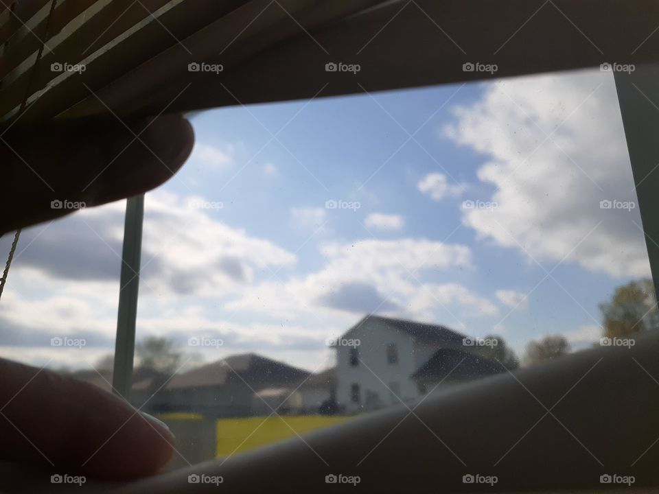 Through the Blinds