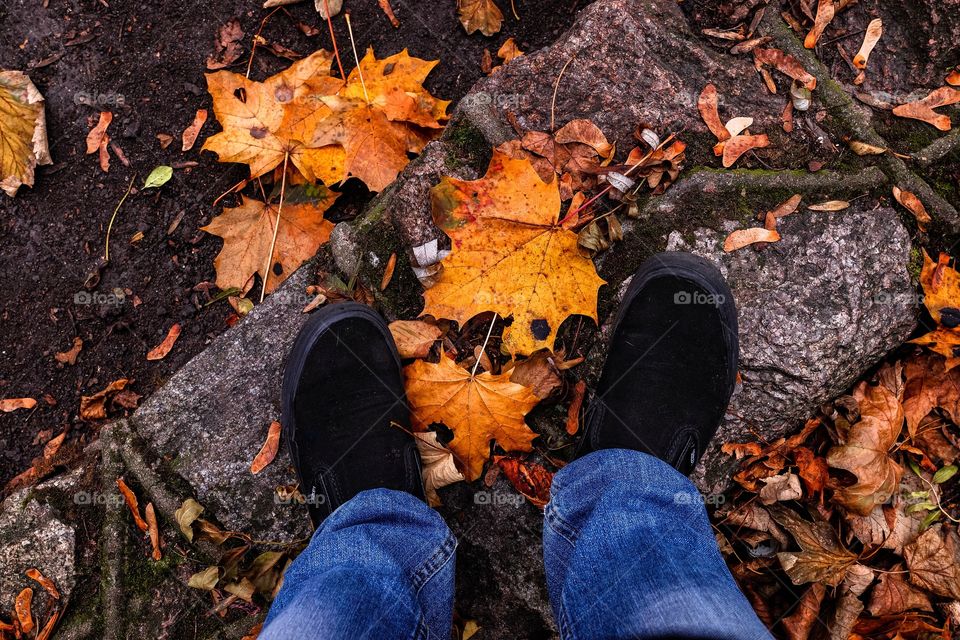 Autumn walk