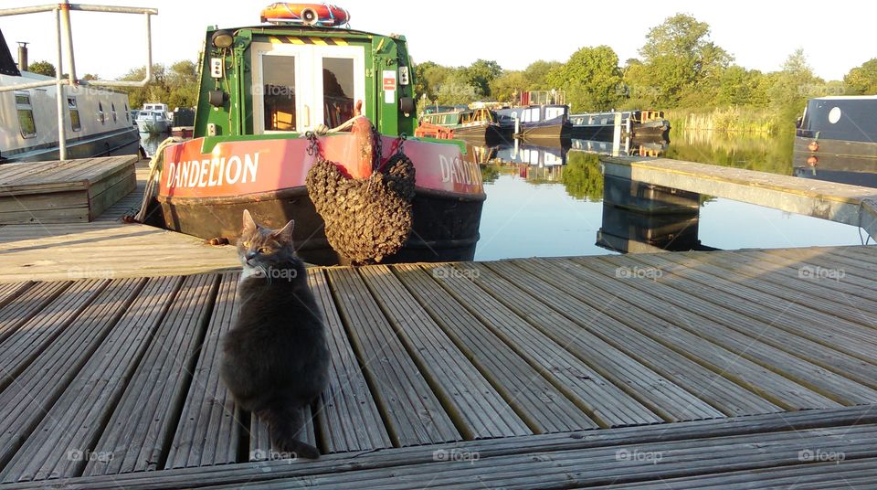 evening Sun on the marina