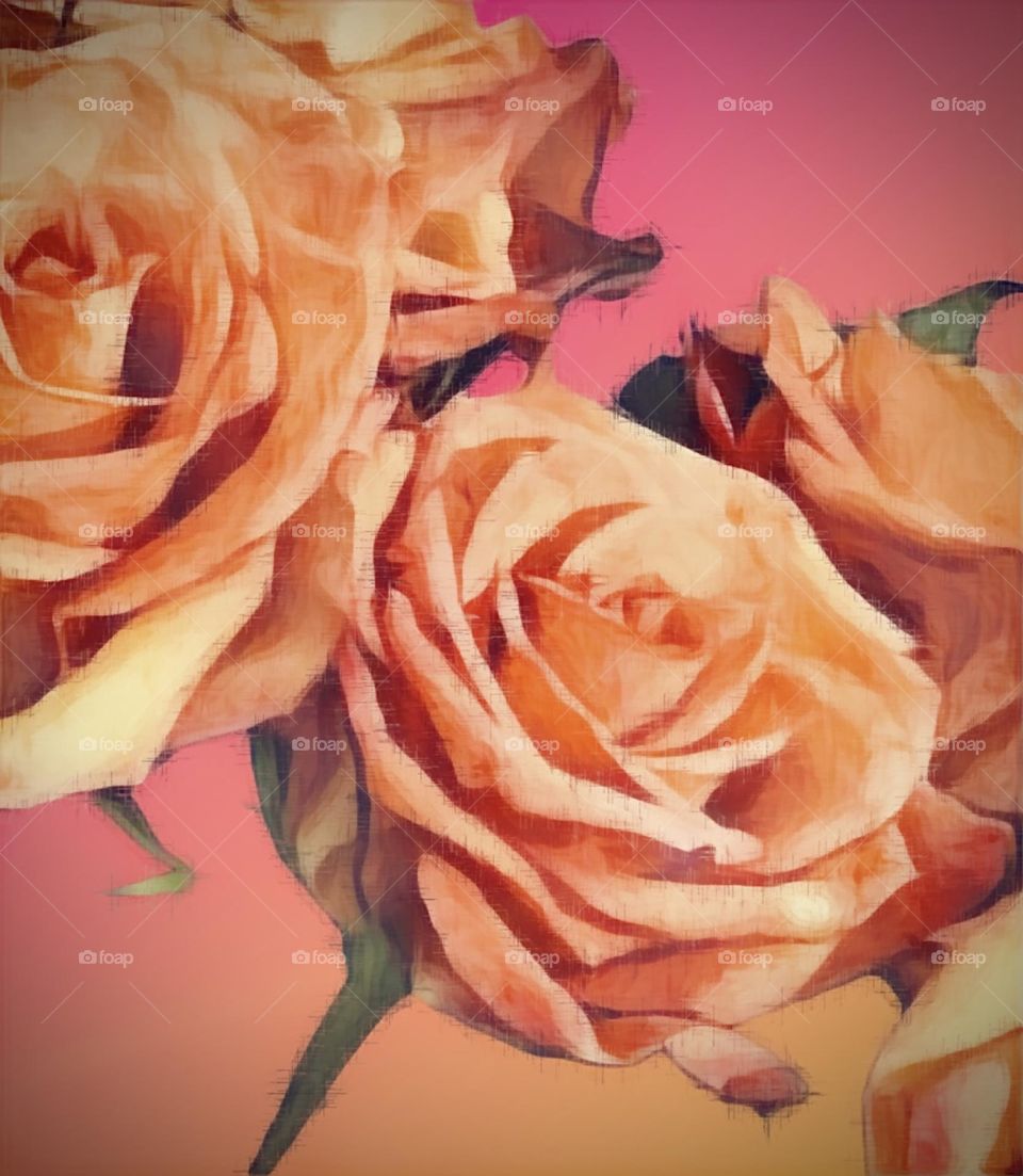 Roses