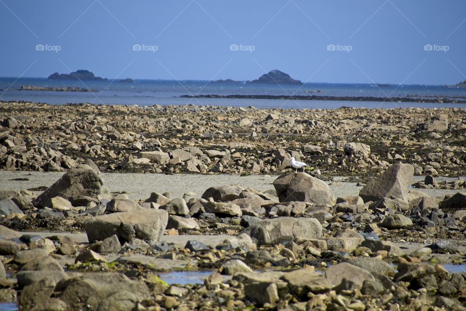 view of the beach in brittany