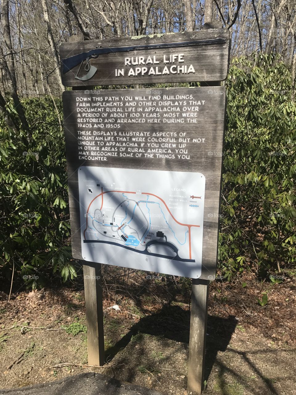 Outdoors, No Person, Nature, Summer, Wood