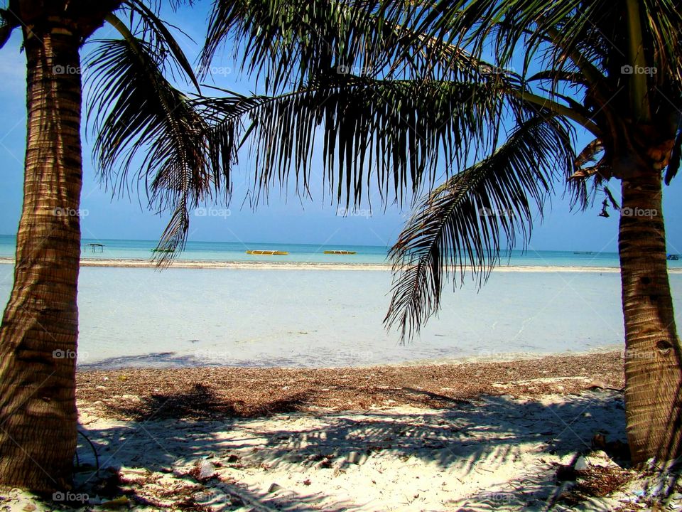 Enjoying the shade from the coconut trees

Tondol Beach, Anda, Pangasinan