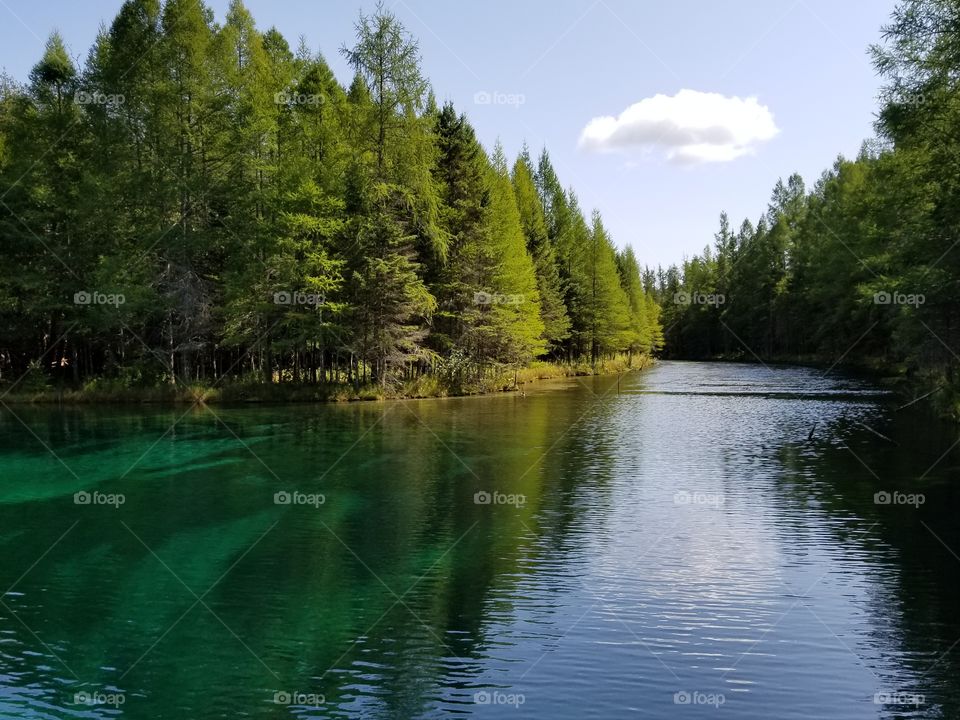 Kitch-iti-kipi Spring