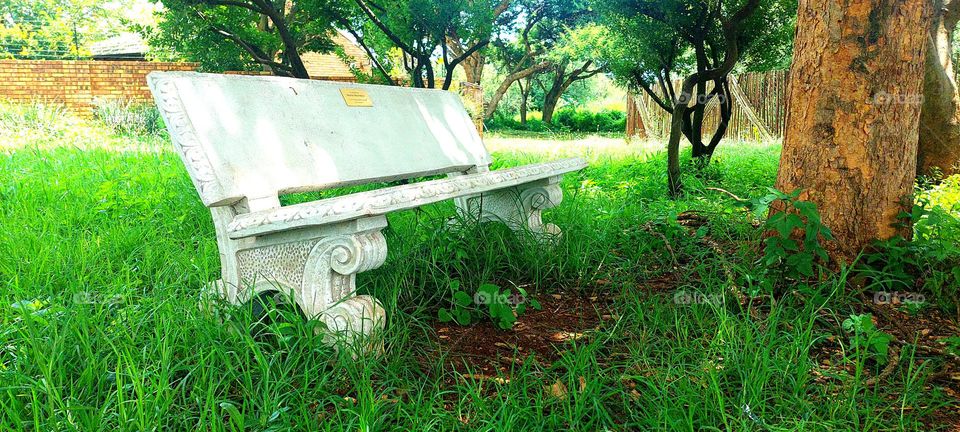 Concrete bench in a nature reserve