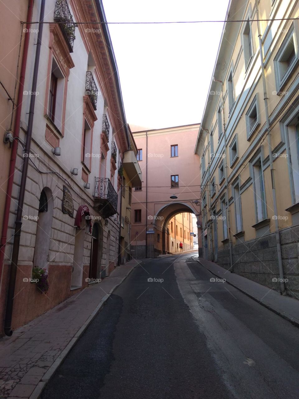 Editors' Choice: Photo of the Week