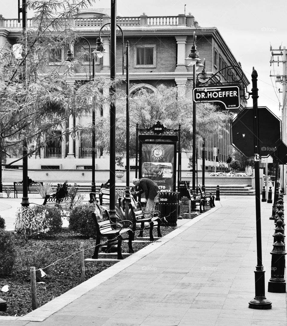 Exterior of building in front park