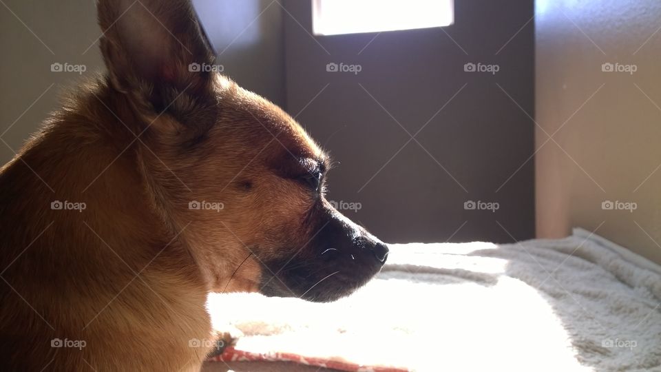 Chilling in the light