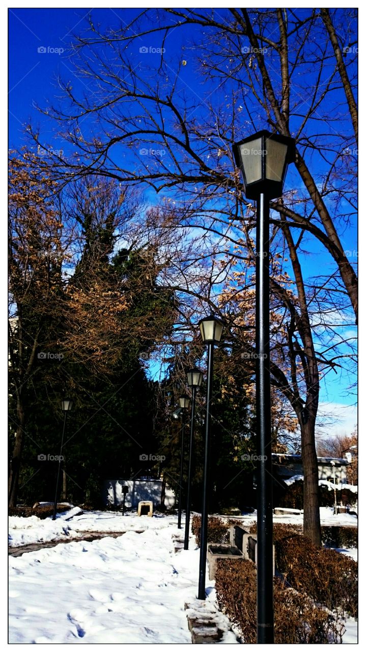 Street in winter