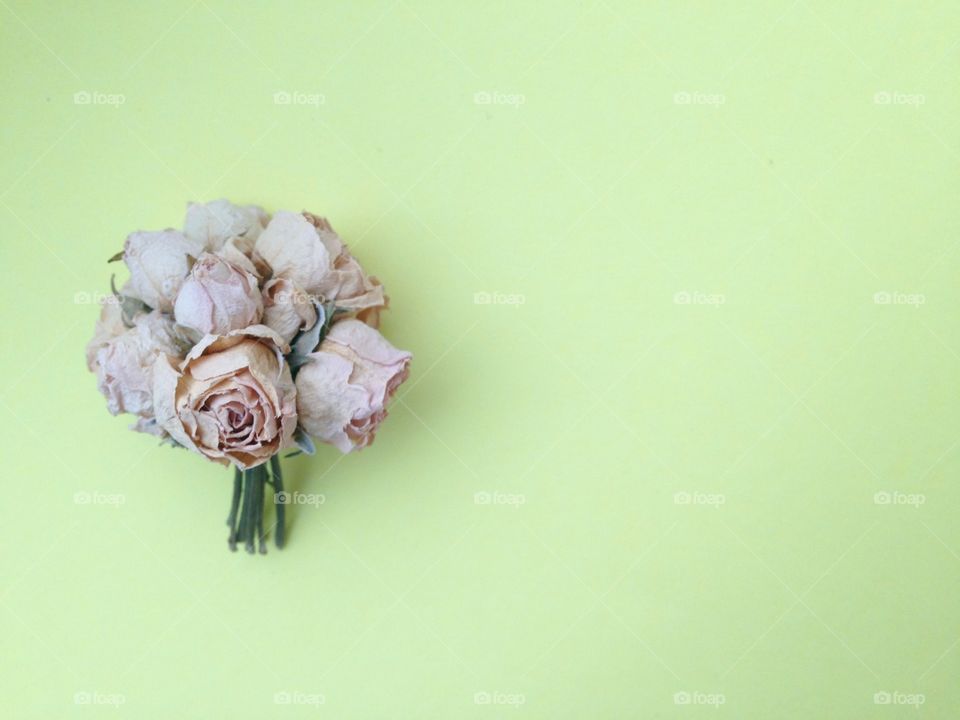 Bouquet of dry light pink mini roses on yellow background 