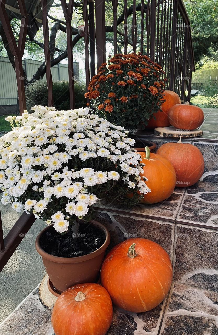 Autumn home decor made from pumpkins and flowers