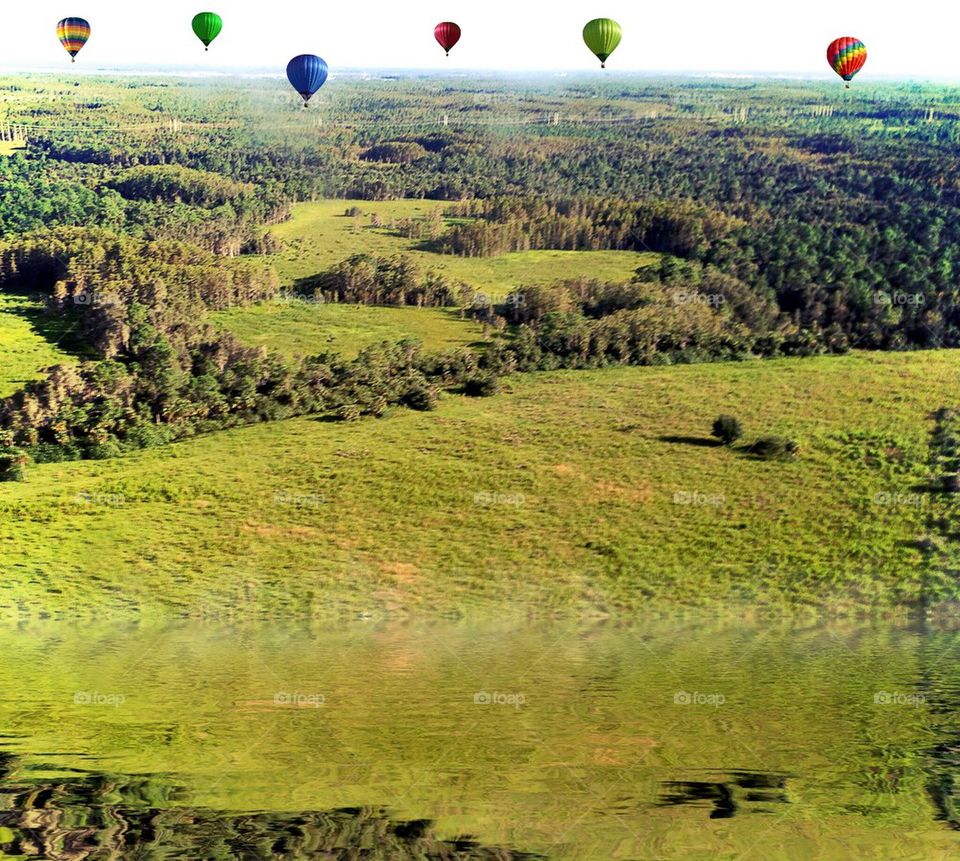 Hot air balloon festival 