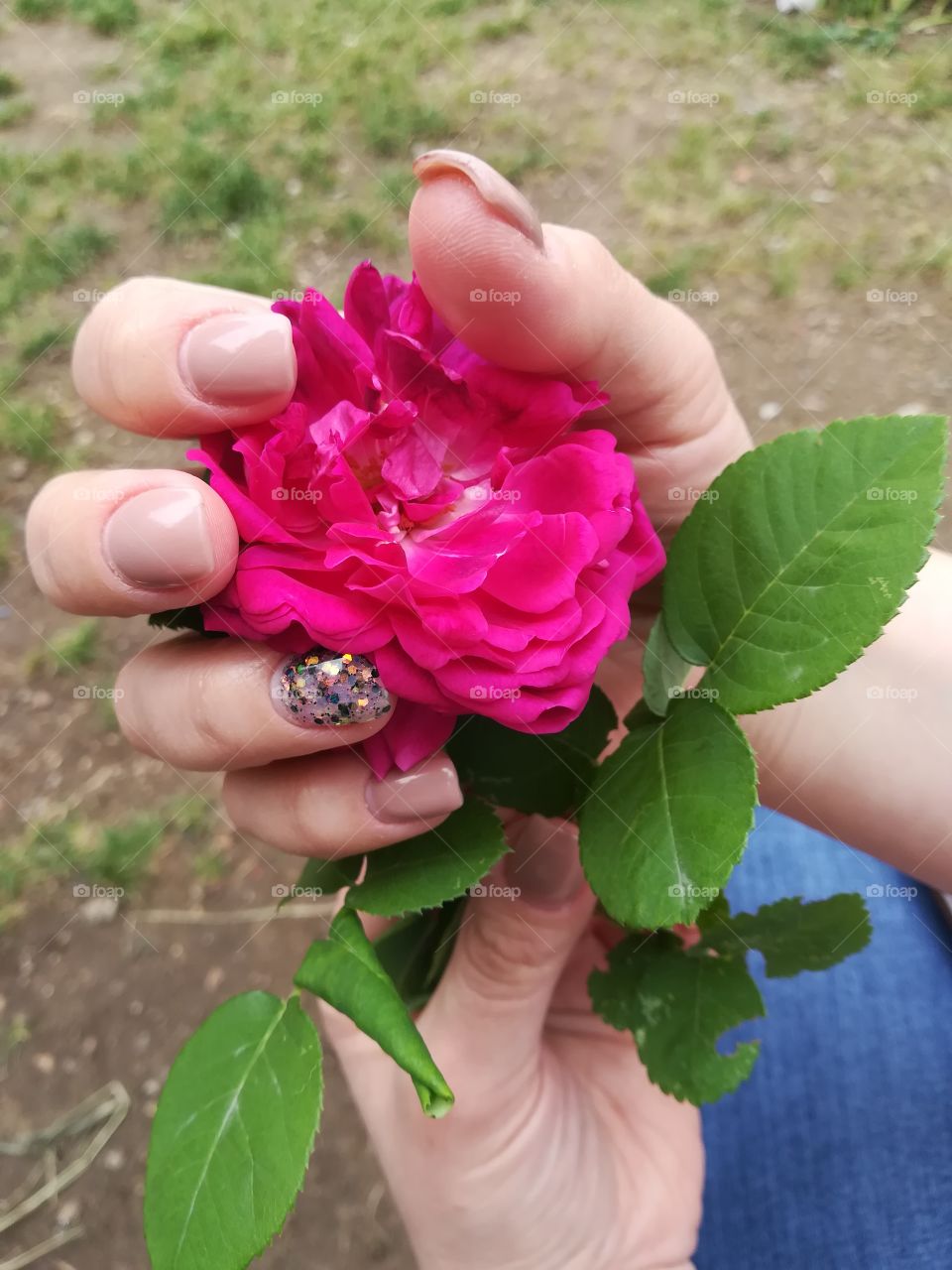 flowers and hand