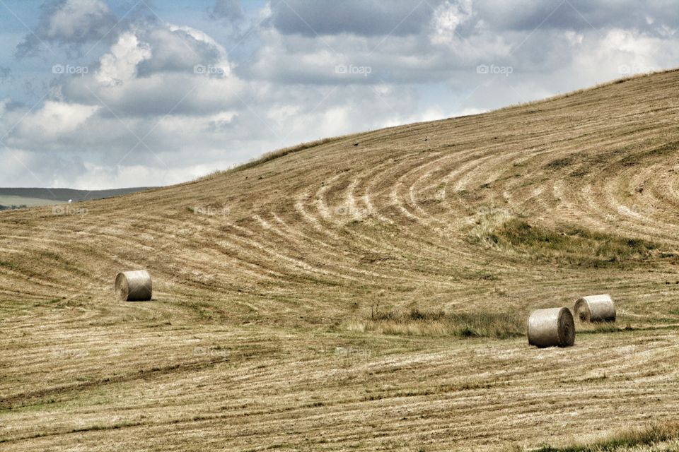 Landscape, Agriculture, No Person, Sky, Nature