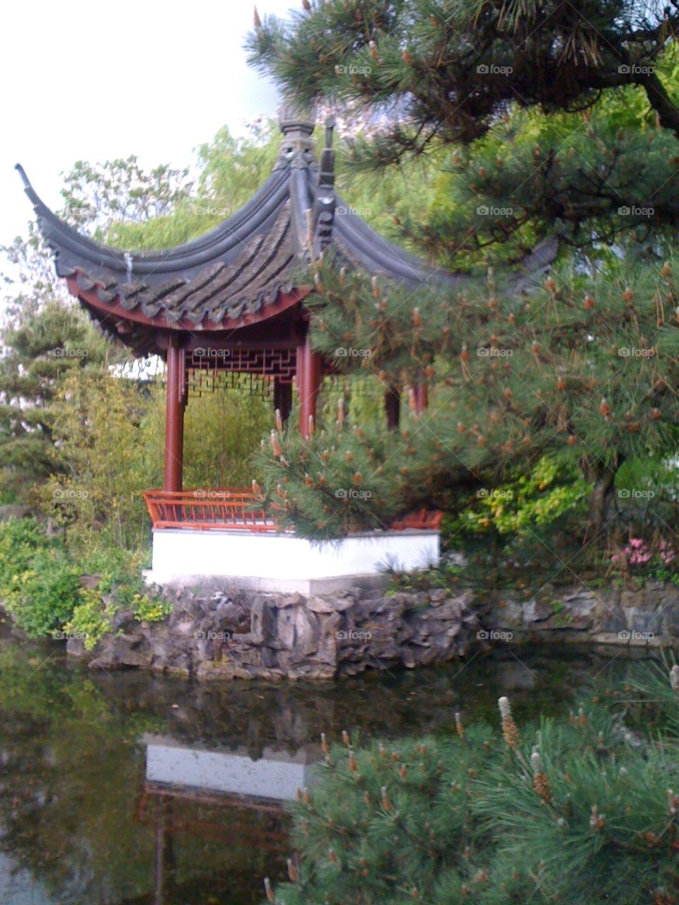 pagoda in green garden over pond and koi