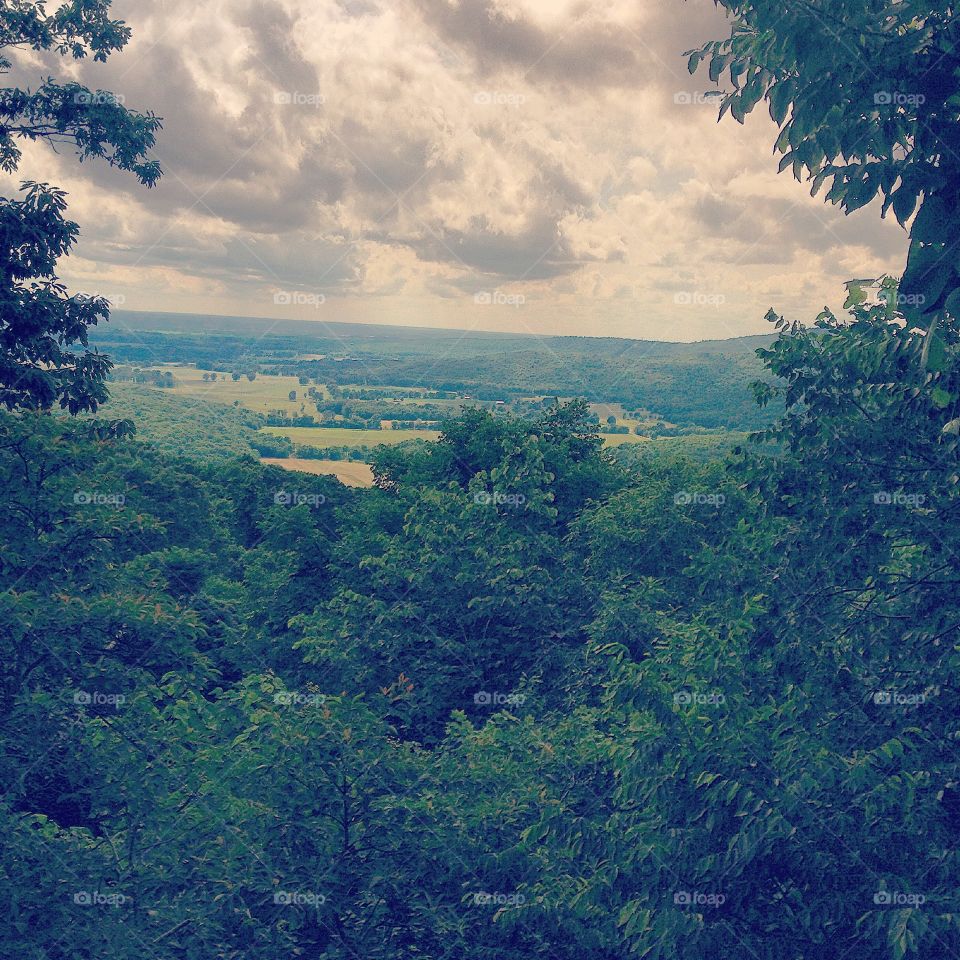 Tree, Landscape, Sky, Nature, No Person