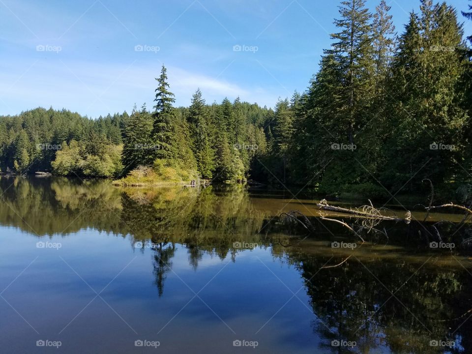 mirror on the lake