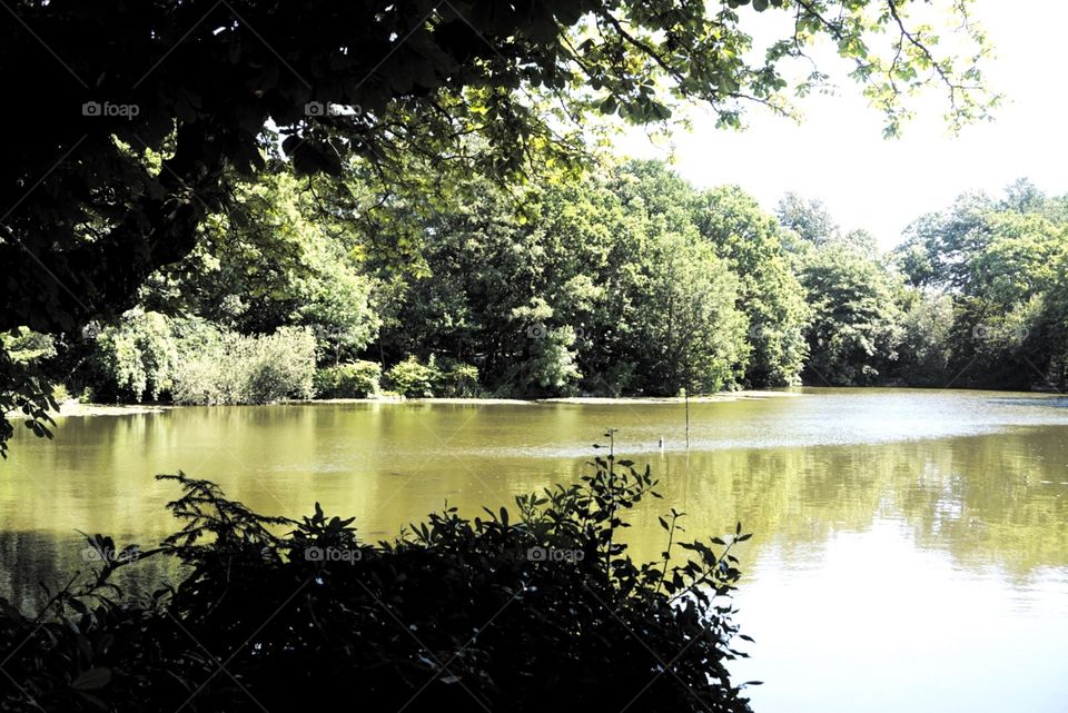 Crystal Palace Park river