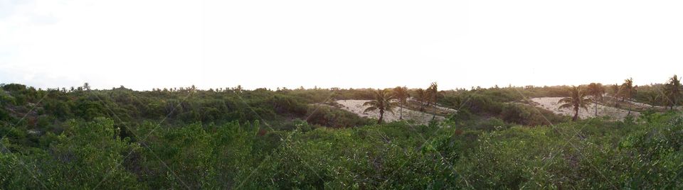 Wild Mozambique dunes at dusk