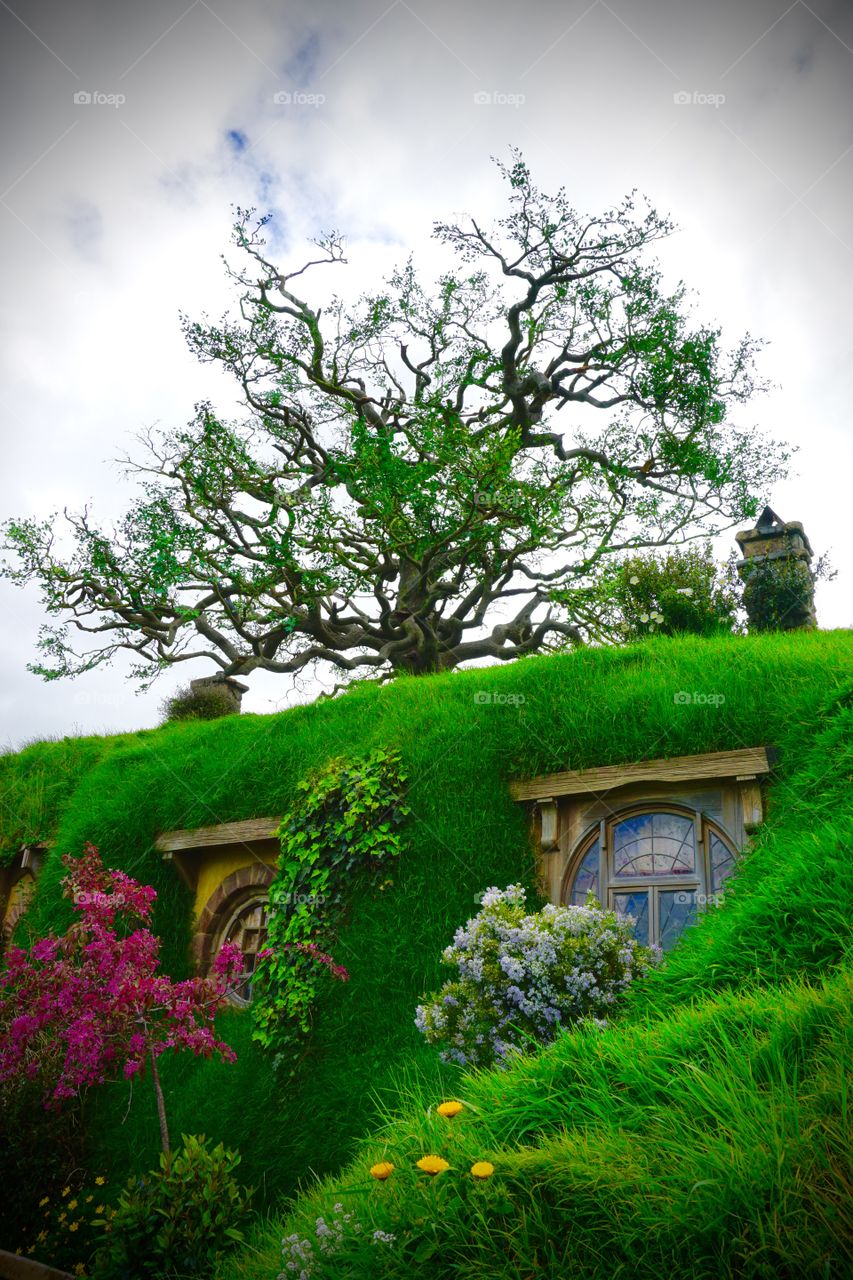 Hobbiton