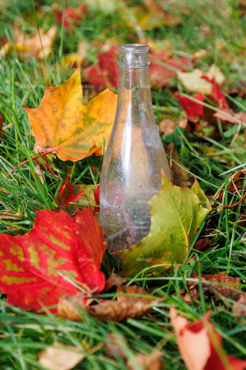 Its wow color .
My favorite season in the nature . red leafs and a emty botton.
Autumn  nature rocks