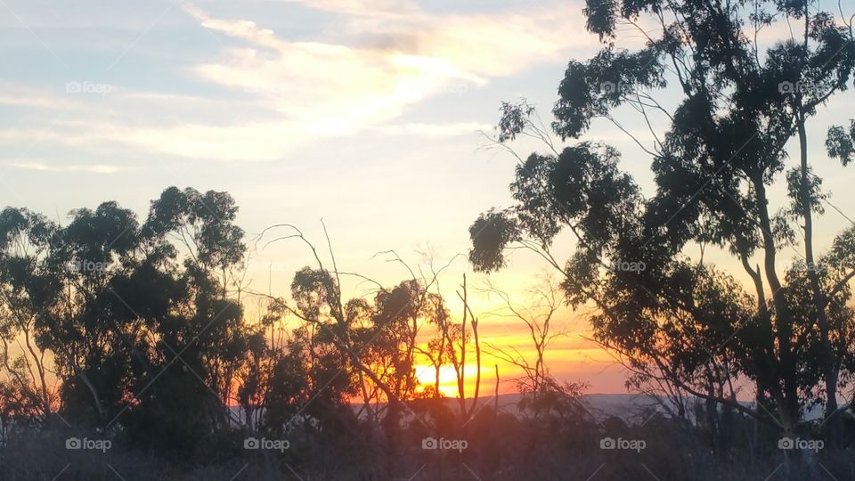 Gorgeous Winter Nature California Seasons Natural Environment