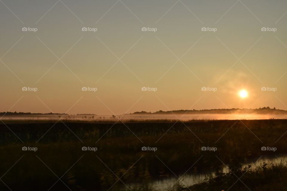Sunrise over a flourishing midwestern marsh.