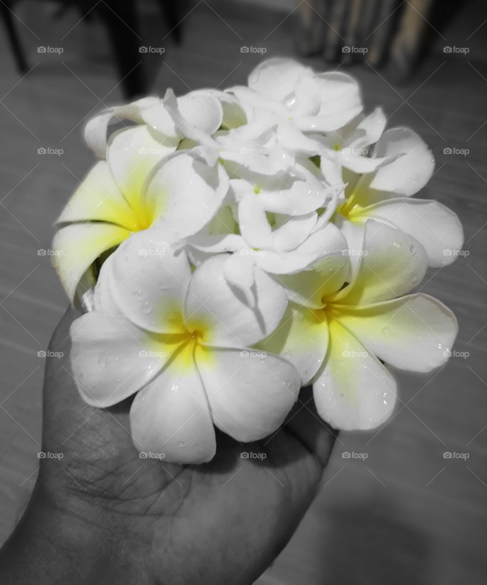 light through the dark