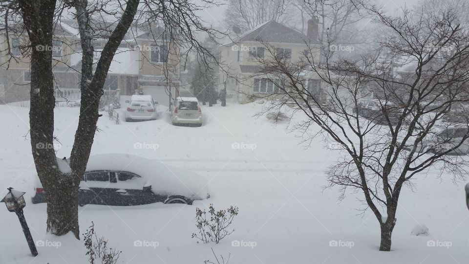 Snow storm in NY