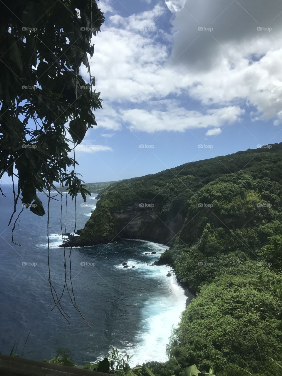 Road to Hana-Maui