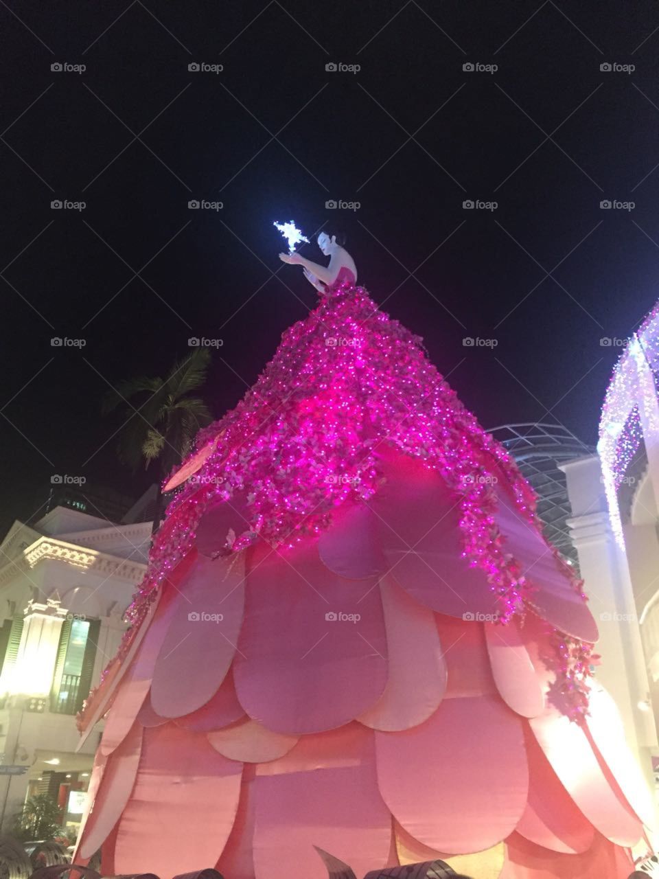 tallest lady in the world