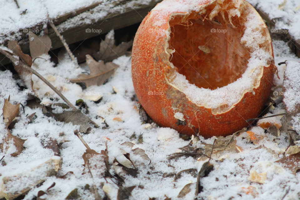 A gutted, orange pumpkin is abandoned in a forest of fallen leaves and delicate snow. 