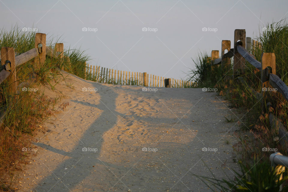 Sand path over the dunes to the beach