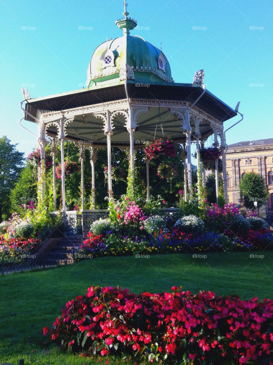 norway sky flowers garden by greirik