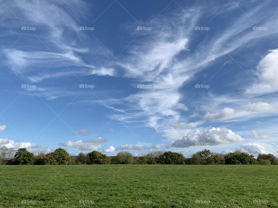 A walk in the park, with a cloudscape above the green grass and trees