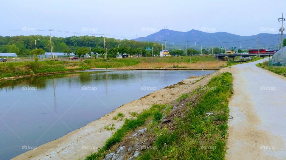 colors of the spring