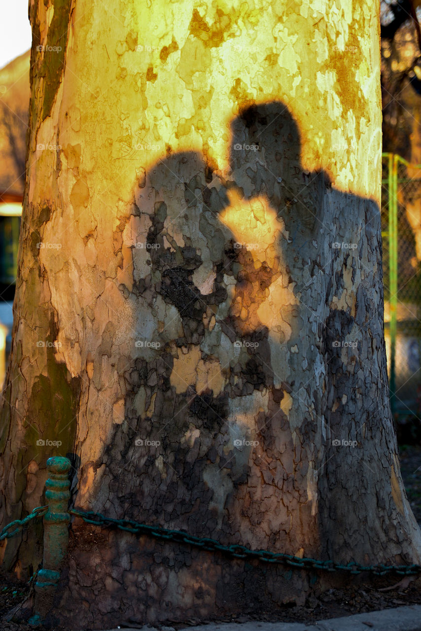 Couple kissing shadow