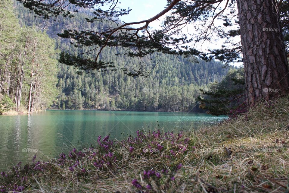 A beautiful lake in austria