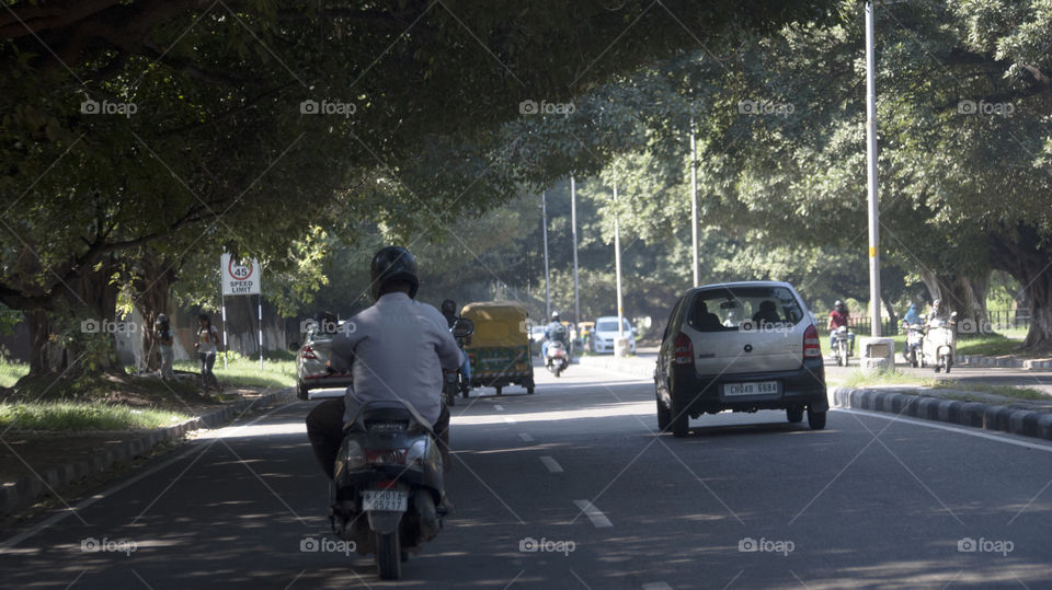 Greenery adds life and beauty to a normal every day situation.