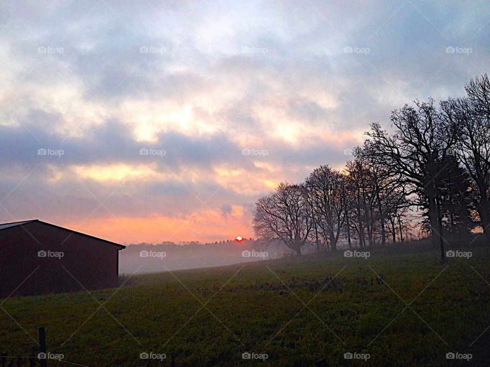 Beautiful morning mist!