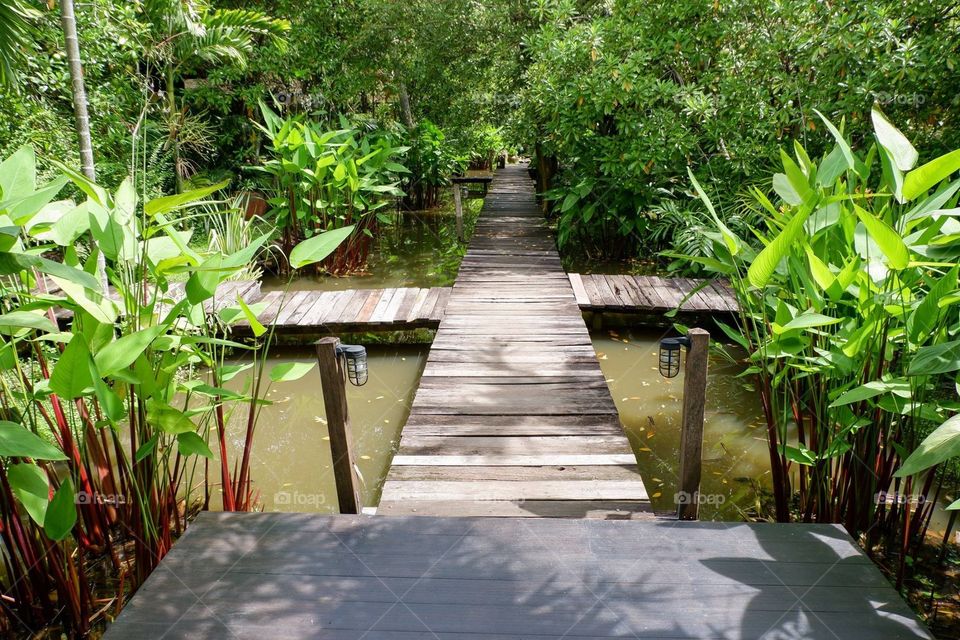 Choose your way on wooden footbridge in the nature