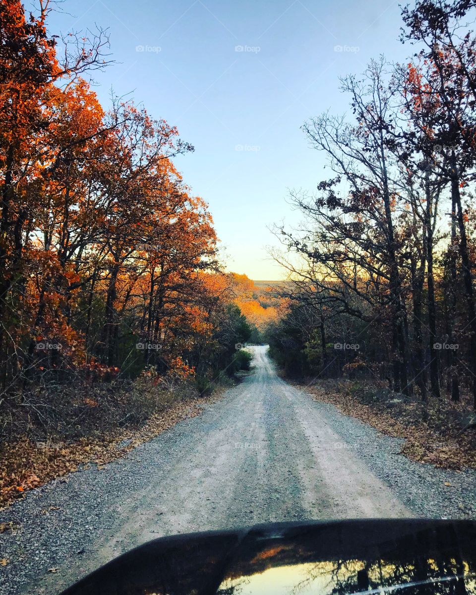 “Country roads, take me home, to the place I belong” 🖤